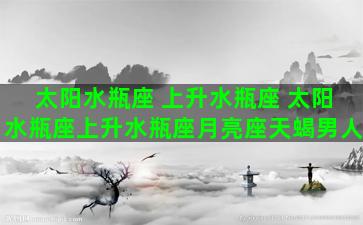 太阳水瓶座 上升水瓶座 太阳水瓶座上升水瓶座月亮座天蝎男人